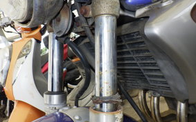 YAMAHA ZEAL 3YX