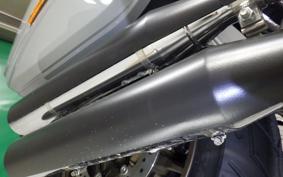 HARLEY FXLRST1920 2025