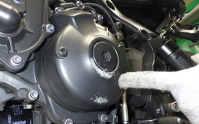 YAMAHA MT-09 2021 RN69J