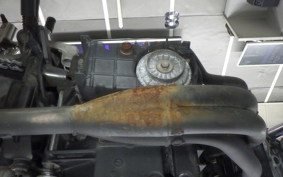 HONDA HORNET 250 2024 MC31