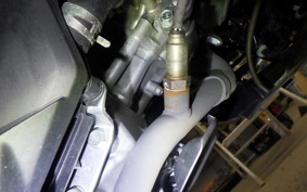 HONDA LEAD 125 JK12