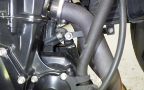 TRIUMPH STREET TRIPLE 2009