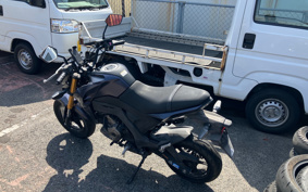 KAWASAKI Z125 PRO BR125H