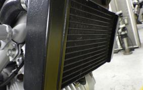 HONDA VTR 250 Gen. 2 MC33