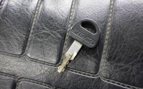 SUZUKI GSX250E 2021 GJ51B