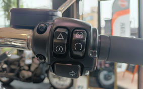 HARLEY  HARLEY FLFBS 2025 YGK