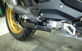 BMW R1300GS Adventure 2025