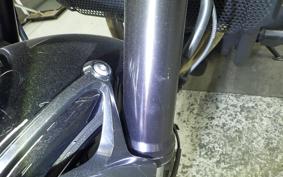 KAWASAKI Z900RS 2019 ZR900C