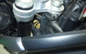 TRIUMPH TIGER 800 XR X 2015