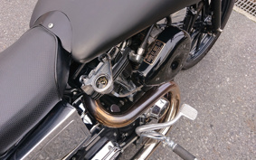 HARLEY FXDL 100th 2003 GDV