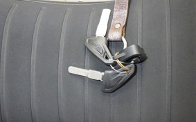 DUCATI SCRAMBLER 1100 S 2020