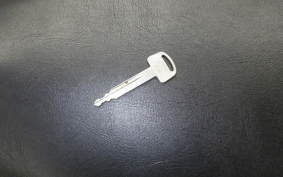 HONDA ZOOMER 2021 AF58