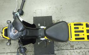 HONDA C110 SUPER CUB 2009 JA10