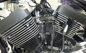 OTHER THUNDER 250