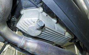 KAWASAKI NINJA 250 EX250L