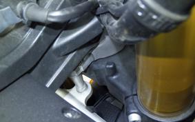 APRILIA TUONO V4 1100 2021