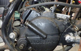 HONDA NS50F 2008 AC08