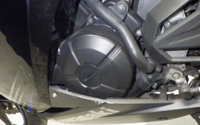 KAWASAKI NINJA 250 EX250L
