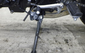 KAWASAKI Z900RS 2024 ZR900K