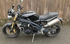 TRIUMPH SPEED TRIPLE 2005 TE5855