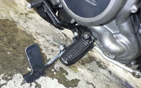 HARLEY RH975 2022