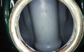 KAWASAKI Z900 2026 Z1F