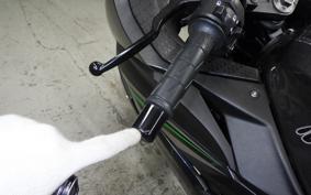 KAWASAKI NINJA 250 EX250L