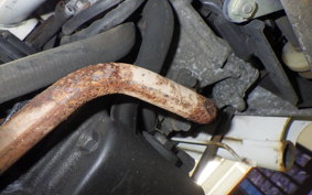 HONDA ZOOMER 2024 AF58