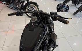 HARLEY FXFBS 2019 YLK