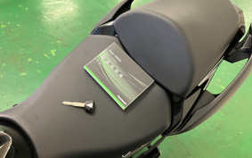 KAWASAKI NINJA 1000 SX 2020 ZXT02K