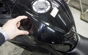 KAWASAKI NINJA 250 2009 EX250L
