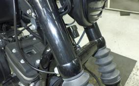 HARLEY XL883N 2017