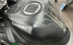 KAWASAKI ZX-4R SE 2023