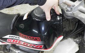 KAWASAKI SUPER SHERPA 2020 KL250G