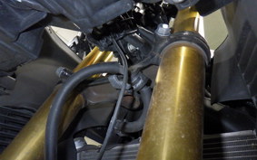 HONDA CBR250RR A 2024 MC51