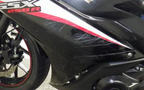 SUZUKI GSX250RA 2013