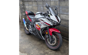 YAMAHA YZF-R25 RG10J