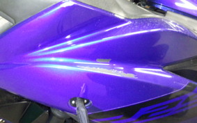 YAMAHA YZF-R25 1998 RG43J