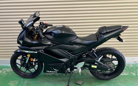 YAMAHA YZF-YZF-R3 ABS 2019 RH13J