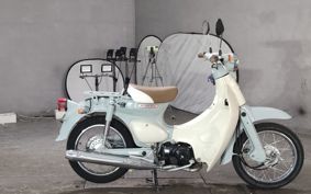 HONDA LITTLE CUB AA01