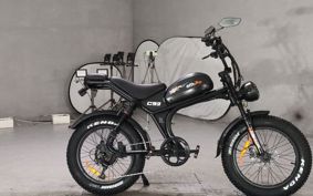 OTHER DENDOU BIKE  ..