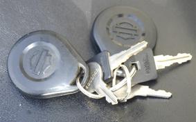 OTHER +HD. XL883L-I 2013