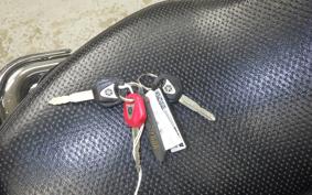 YAMAHA DRAGSTAR 400 2007 VH01J