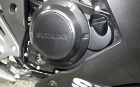 SUZUKI GSX250R