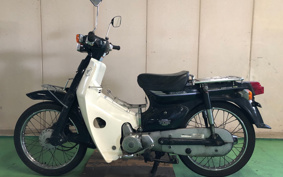 HONDA SUPER CUB50 C50