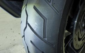 HARLEY FLSB 1750 2022
