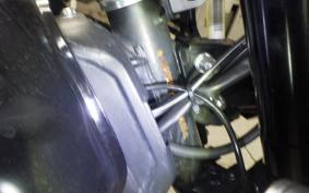 OTHER +GPX GTM250R 2017