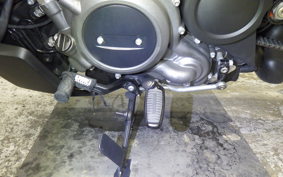 HARLEY RH975S 2024
