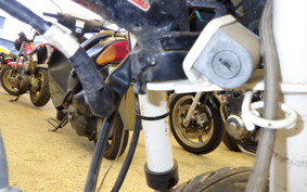 HONDA GORILLA AB27