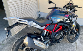 BMW G310GS 2022 0G31